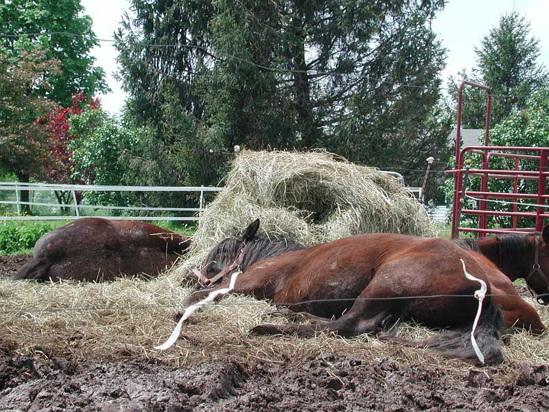 naptime